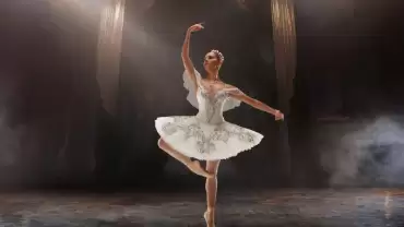 Immersed in the Elegance of Ballet